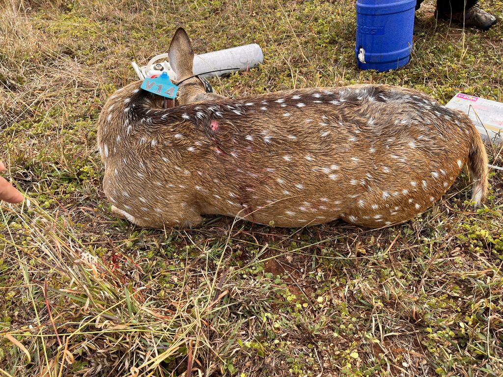 ebd7c4d7-02f1-4848-a927-85cde4715ecf