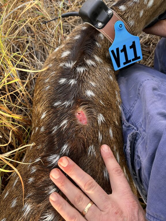 ebd7c4d7-02f1-4848-a927-85cde4715ecf