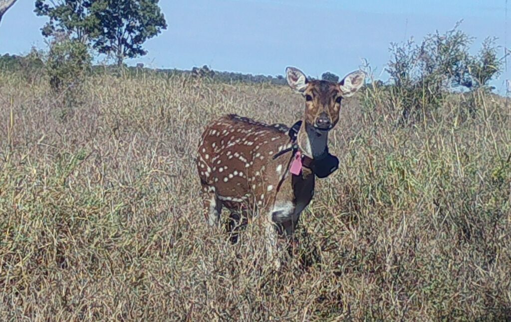 e953a1bd-98ee-4397-9657-c836a182cd1e