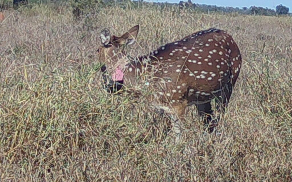 e953a1bd-98ee-4397-9657-c836a182cd1e