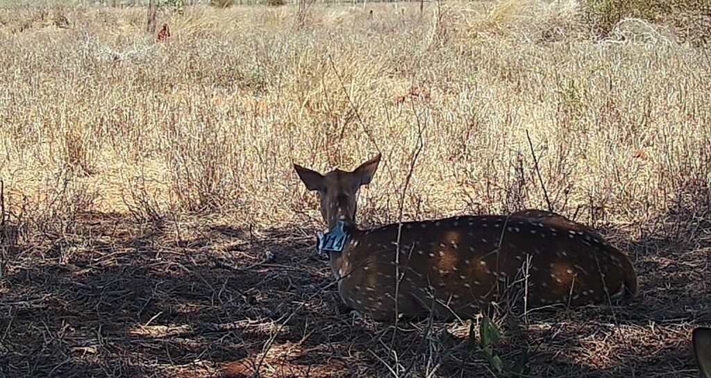 ebd7c4d7-02f1-4848-a927-85cde4715ecf