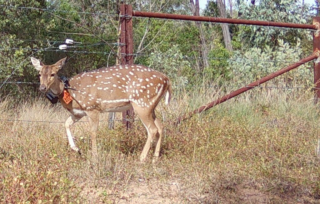 3abe2605-21b1-4659-8d5a-a76bc93e6a13