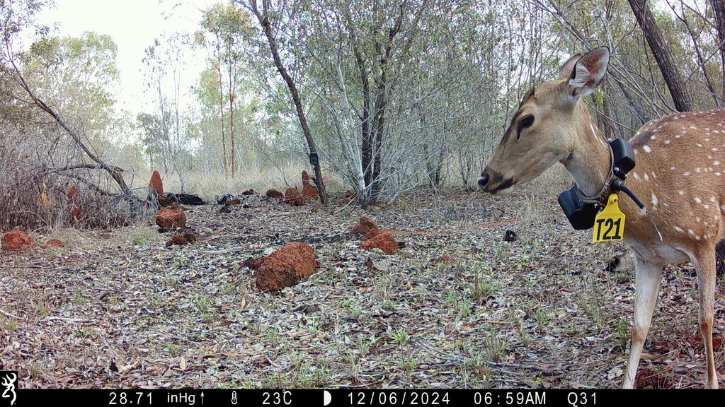 26e14cfc-aa2d-4b9b-9f03-ded8205bf88b