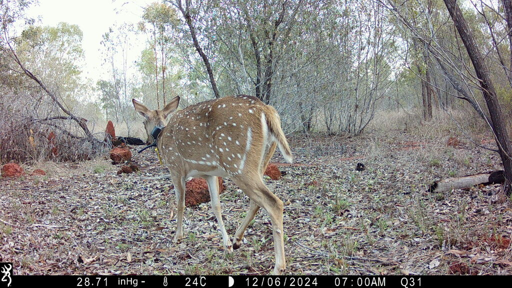 26e14cfc-aa2d-4b9b-9f03-ded8205bf88b