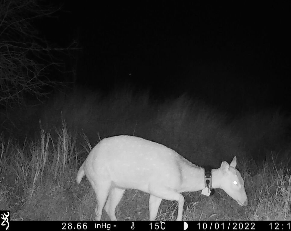 fc9c5618-dfeb-4898-bb44-df85279846ef