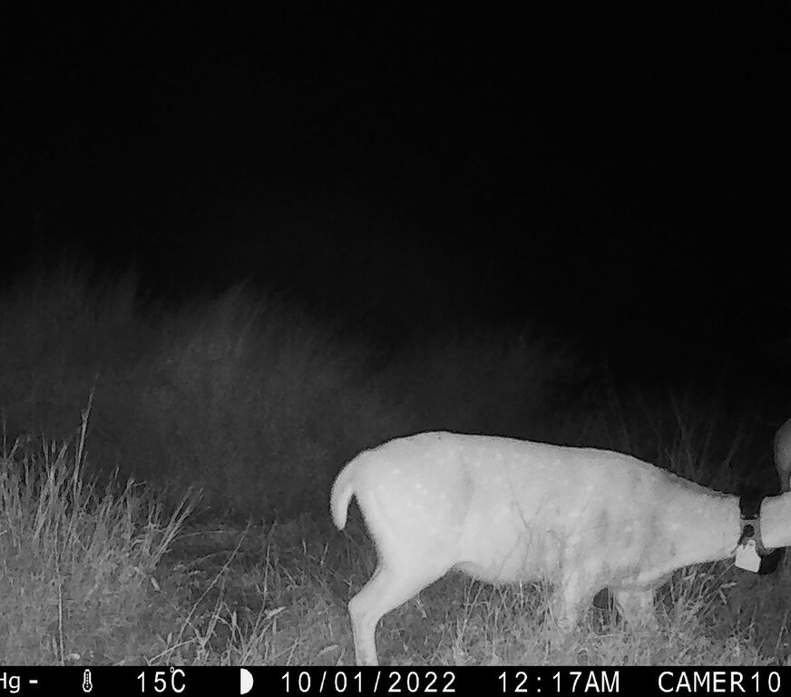 fc9c5618-dfeb-4898-bb44-df85279846ef