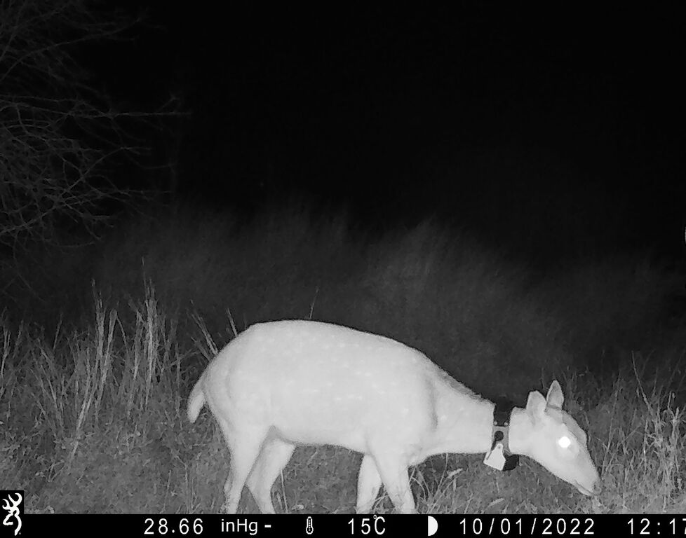 fc9c5618-dfeb-4898-bb44-df85279846ef