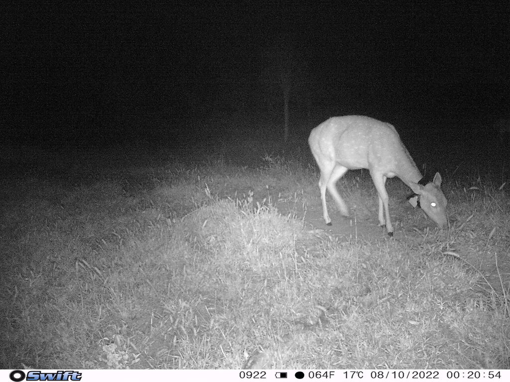 fc9c5618-dfeb-4898-bb44-df85279846ef