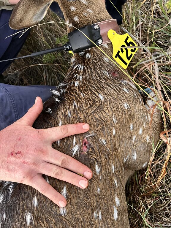 23cb5407-fa13-4cc2-ad94-a870d3a3cd0e