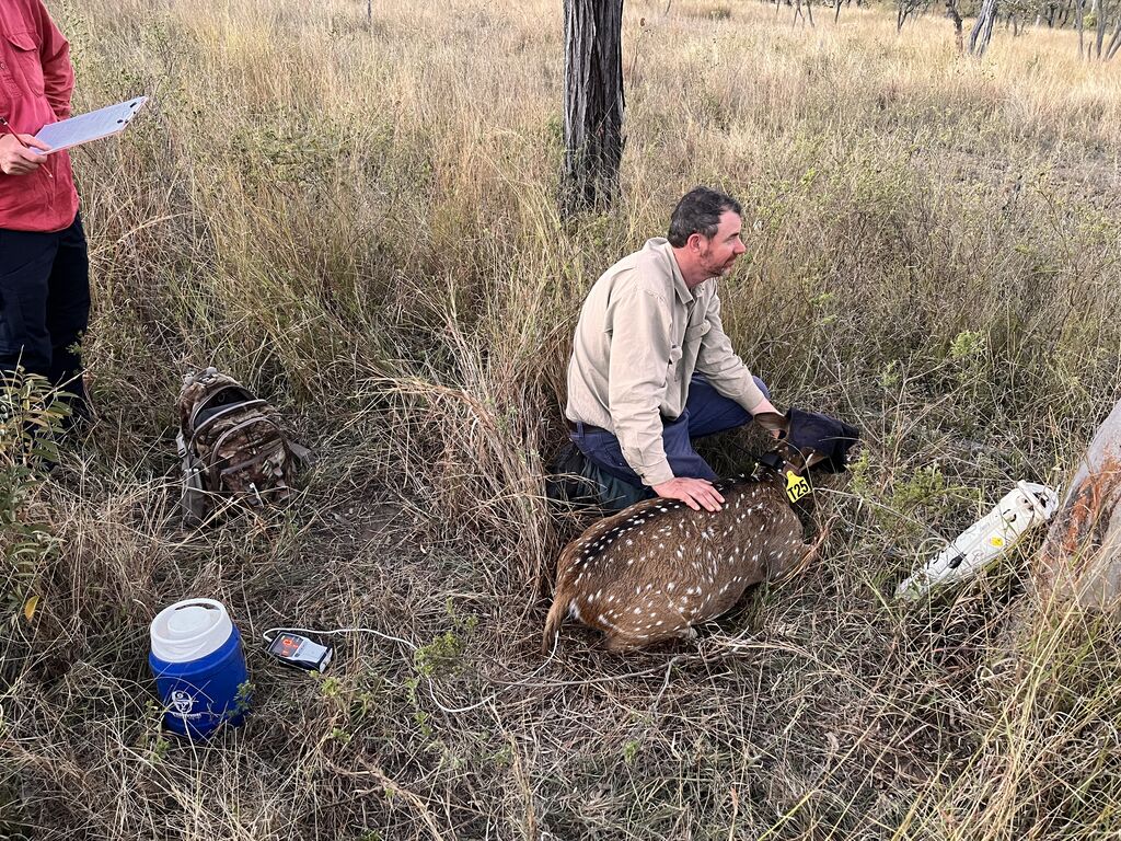 23cb5407-fa13-4cc2-ad94-a870d3a3cd0e