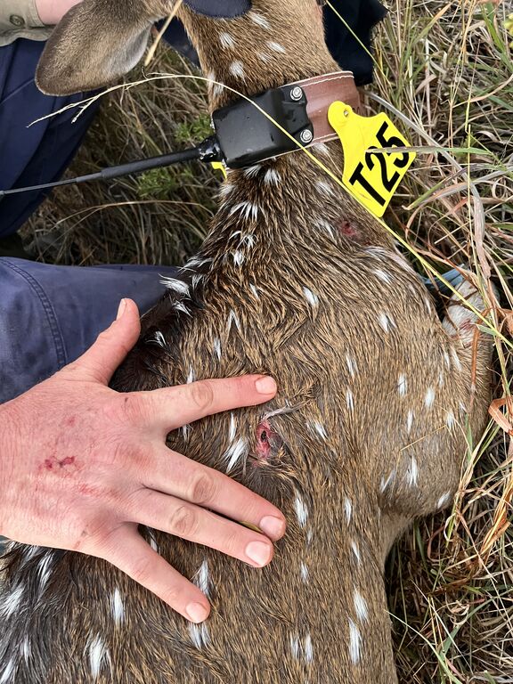 23cb5407-fa13-4cc2-ad94-a870d3a3cd0e