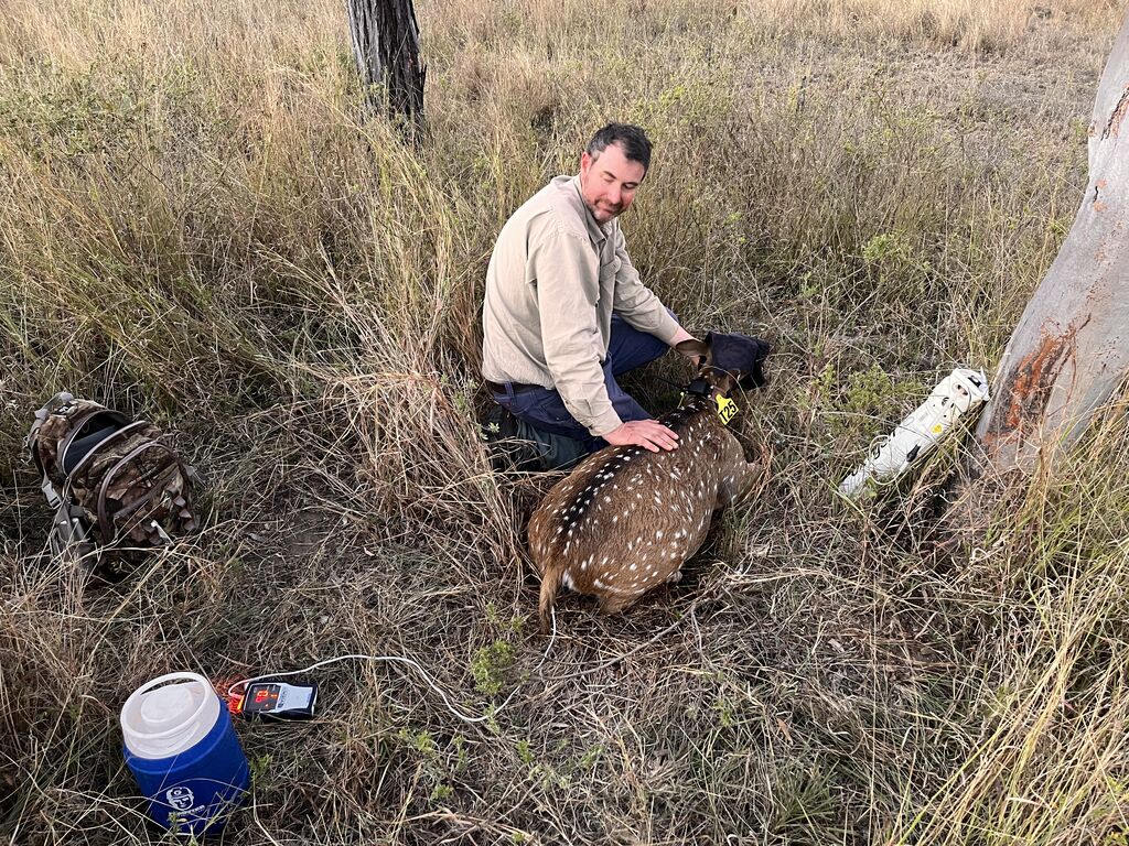 23cb5407-fa13-4cc2-ad94-a870d3a3cd0e