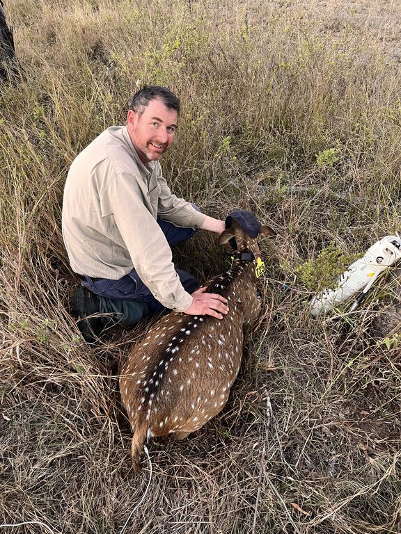 23cb5407-fa13-4cc2-ad94-a870d3a3cd0e