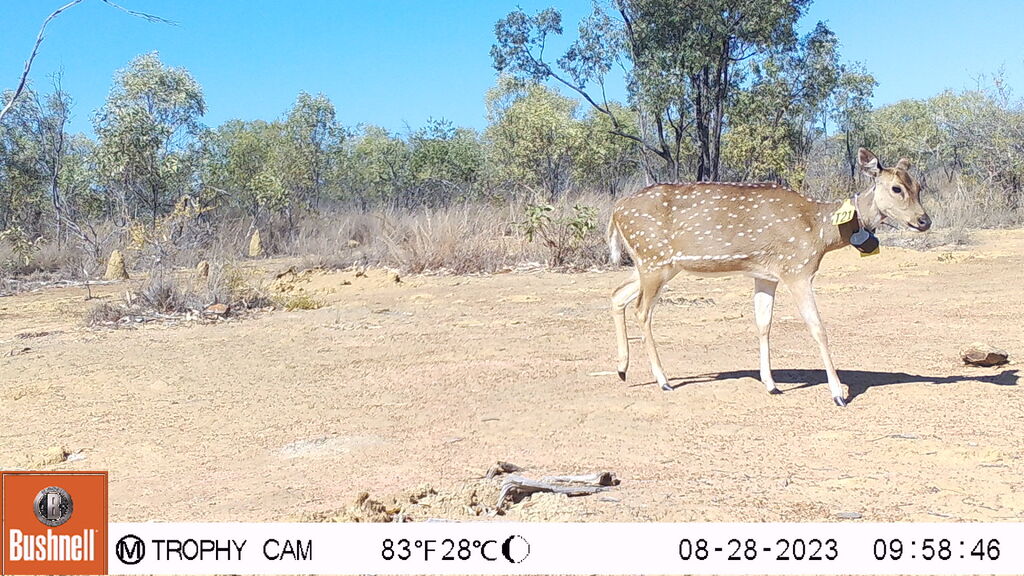 26e14cfc-aa2d-4b9b-9f03-ded8205bf88b