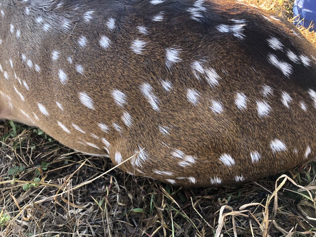 3abe2605-21b1-4659-8d5a-a76bc93e6a13