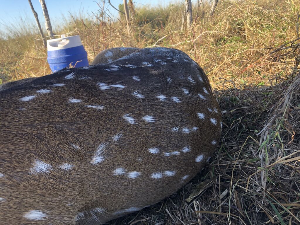 3abe2605-21b1-4659-8d5a-a76bc93e6a13