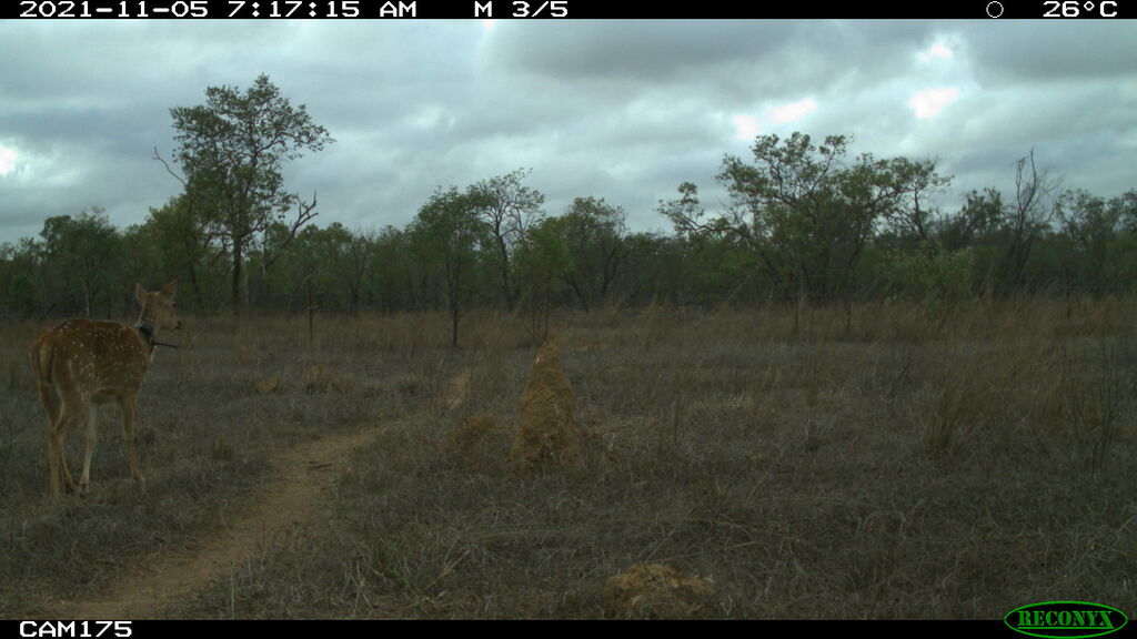 fc9c5618-dfeb-4898-bb44-df85279846ef