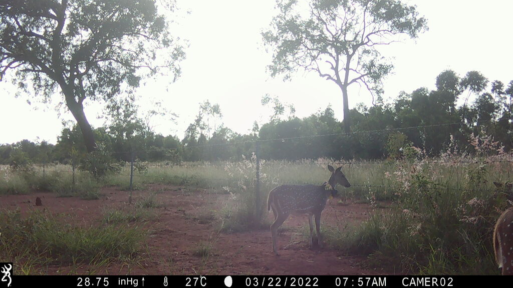 26e14cfc-aa2d-4b9b-9f03-ded8205bf88b