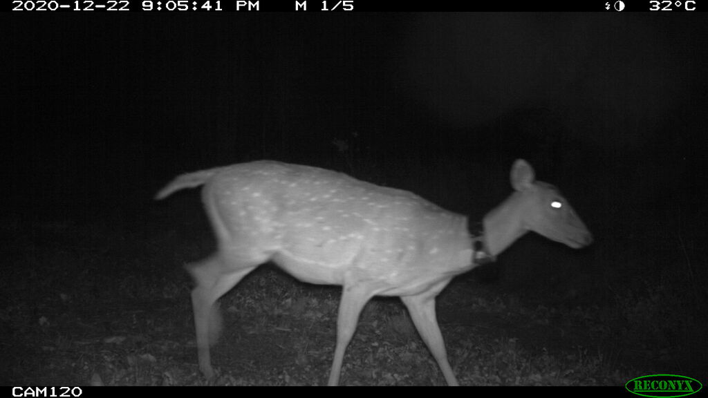 e953a1bd-98ee-4397-9657-c836a182cd1e