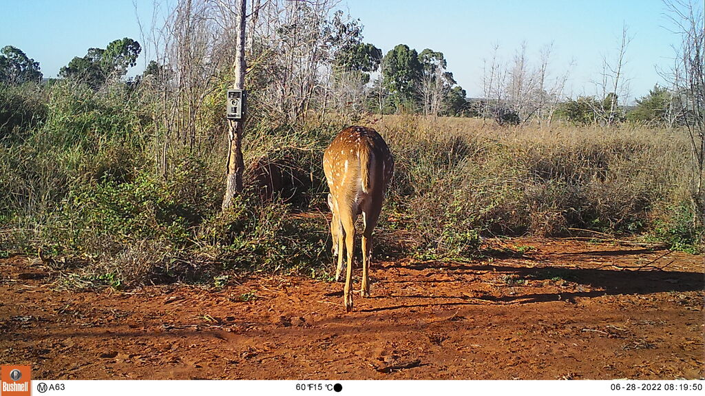 ebd7c4d7-02f1-4848-a927-85cde4715ecf