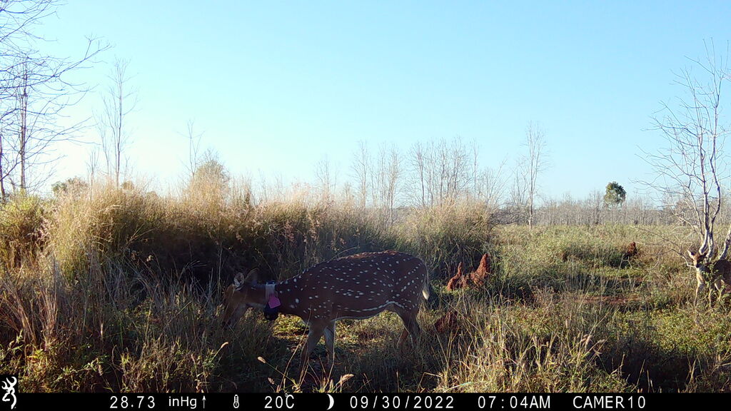 e953a1bd-98ee-4397-9657-c836a182cd1e