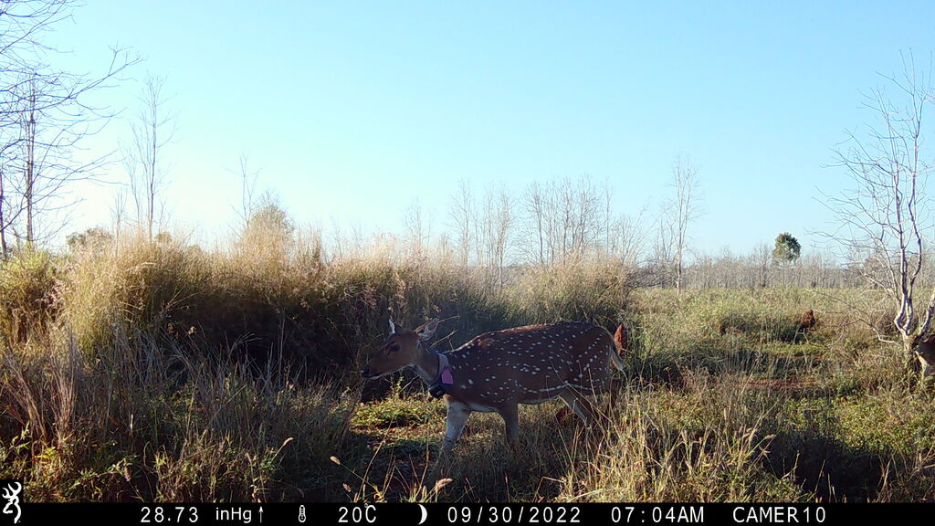 e953a1bd-98ee-4397-9657-c836a182cd1e