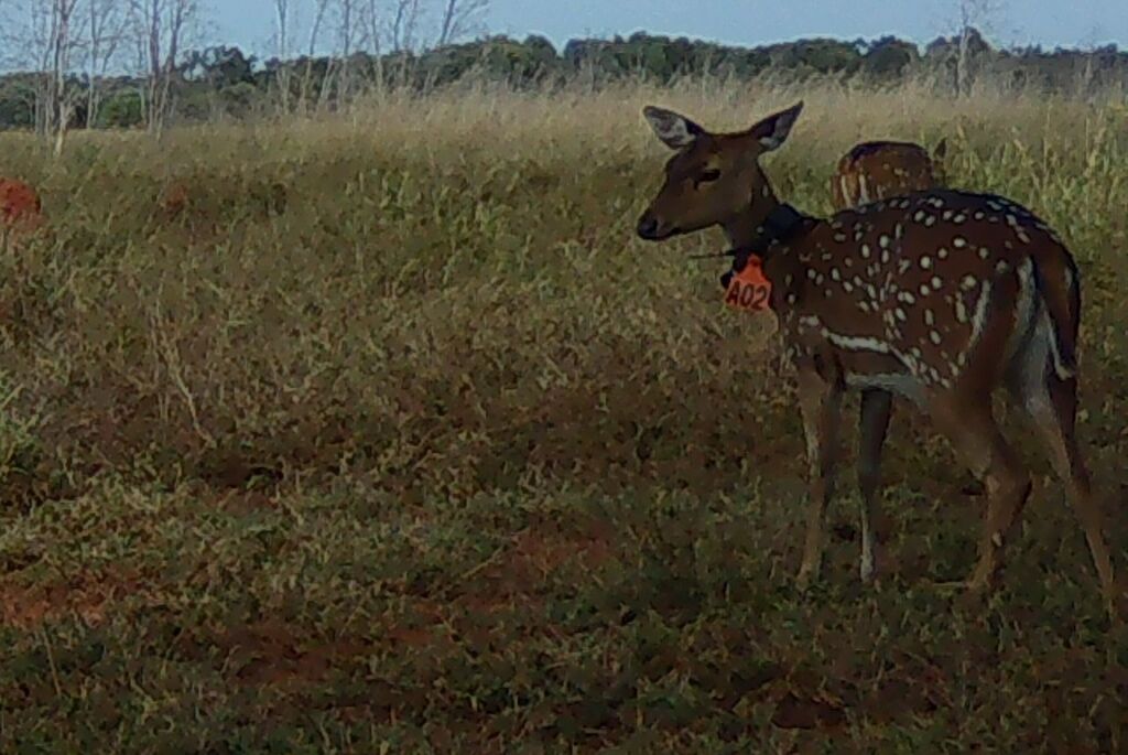 3abe2605-21b1-4659-8d5a-a76bc93e6a13